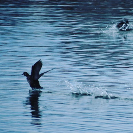 00648647-365c-4b00-ad1f-daa1829665ca