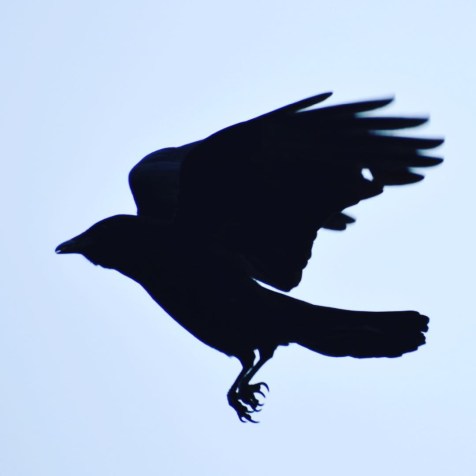 3dd0e8dd-e914-48cb-b1ca-27efd4898414