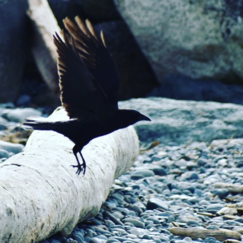 D0CC49C8-75E1-4BC5-BE44-6EE8FE126905